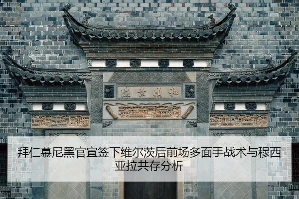 bai-ren-mu-ni-hei-guan-xuan-qian-xia-wei-er-ci-hou-qian-chang-duo-mian-shou-zhan-shu-yu-mu-xi-ya-la-gong-cun-fen-xi-2-157.jpg