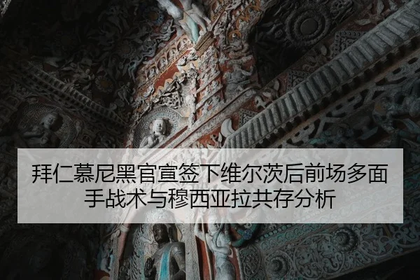 bai-ren-mu-ni-hei-guan-xuan-qian-xia-wei-er-ci-hou-qian-chang-duo-mian-shou-zhan-shu-yu-mu-xi-ya-la-gong-cun-fen-xi-3-583.jpg