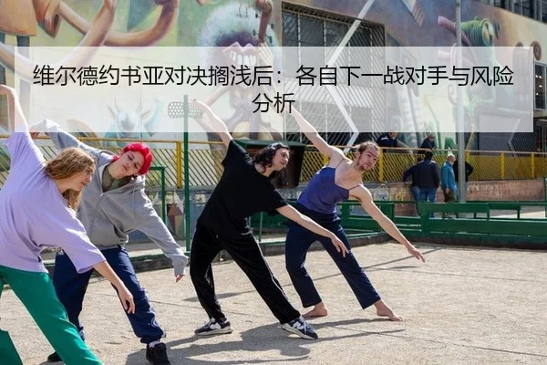 维尔德约书亚对决搁浅后：各自下一战对手与风险分析